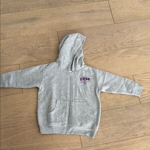 Gray Cubs Kids Hoodie
